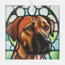 Search for rhodesian ridgeback ornaments Animal