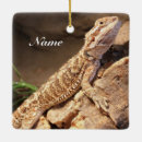 Search for dragon ornaments Reptile