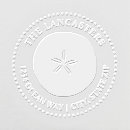 Search for sand dollar Ocean