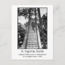 Search for vintage alligator postcards Nature