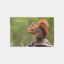 Search for woodland animals doormats Squirrel
