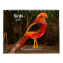 Search for bird calendars Feathers