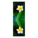 Search for hawaiian posters flowers