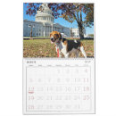 Search for hound dog calendars Animals