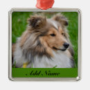 Search for sheltie ornaments Animal