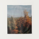 Search for california bear posters Outdoors