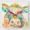 Search for cow clocks Animal