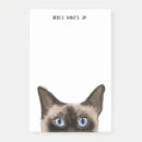 Search for siamese cat gifts Pets