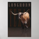 Search for longhorn posters Bull