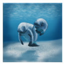 Search for manatee posters Marine life