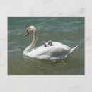 Search for mothers day postcards Nature