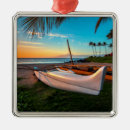 Search for hawaii ornaments Sand
