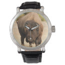 Search for vertical watches Photography
