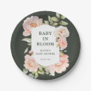 Search for blush plates Baby in bloom