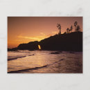 Search for olympic national park postcards Nature