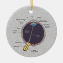 Search for anatomy ornaments Eye