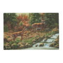 Search for waterfall gifts Creek