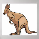 Search for kangaroo posters Animal