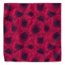 Search for photo dog bandanas Red