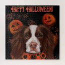 Search for english springer spaniel puzzles Spaniels