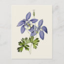 Search for flower postcards Botanical