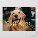 Search for funny dog new years cards Pet