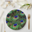Search for peacock plates Birds