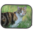 Search for cat car floor mats Kitten