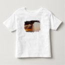 Search for maasai tshirts Sunset