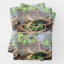 Search for gator wrapping paper Swamp