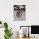 Search for lion king posters Mufasa