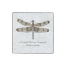 Search for dragonfly magnets Butterfly
