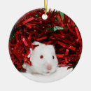 Search for hamster ornaments Pet