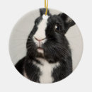 Search for dutch rabbit decor Black