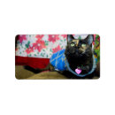 Search for tuxedo cat return address labels Calico