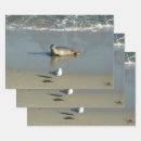 Search for seagull wrapping paper Wildlife