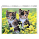 Search for cute calendars Kitten