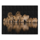 Search for kenya puzzles Animal