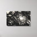 Search for black and white tree canvas prints Nature photography