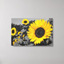 Search for black white sunflower art Photography