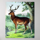 Search for christmas deer art Classic