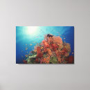 Search for coral reef art Wildlife