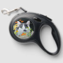 Search for cat leashes Cats