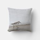 Search for sandpiper pillows Beach