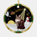 Search for maine ornaments Maine coon cat