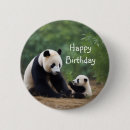 Search for panda birthday favors Wildlife