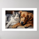 Search for golden retriever posters Pets