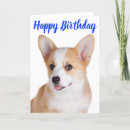 Search for corgi birthday cards Puppies