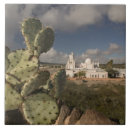Search for tucson tiles Desert