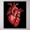 Search for nurse art Surgeon